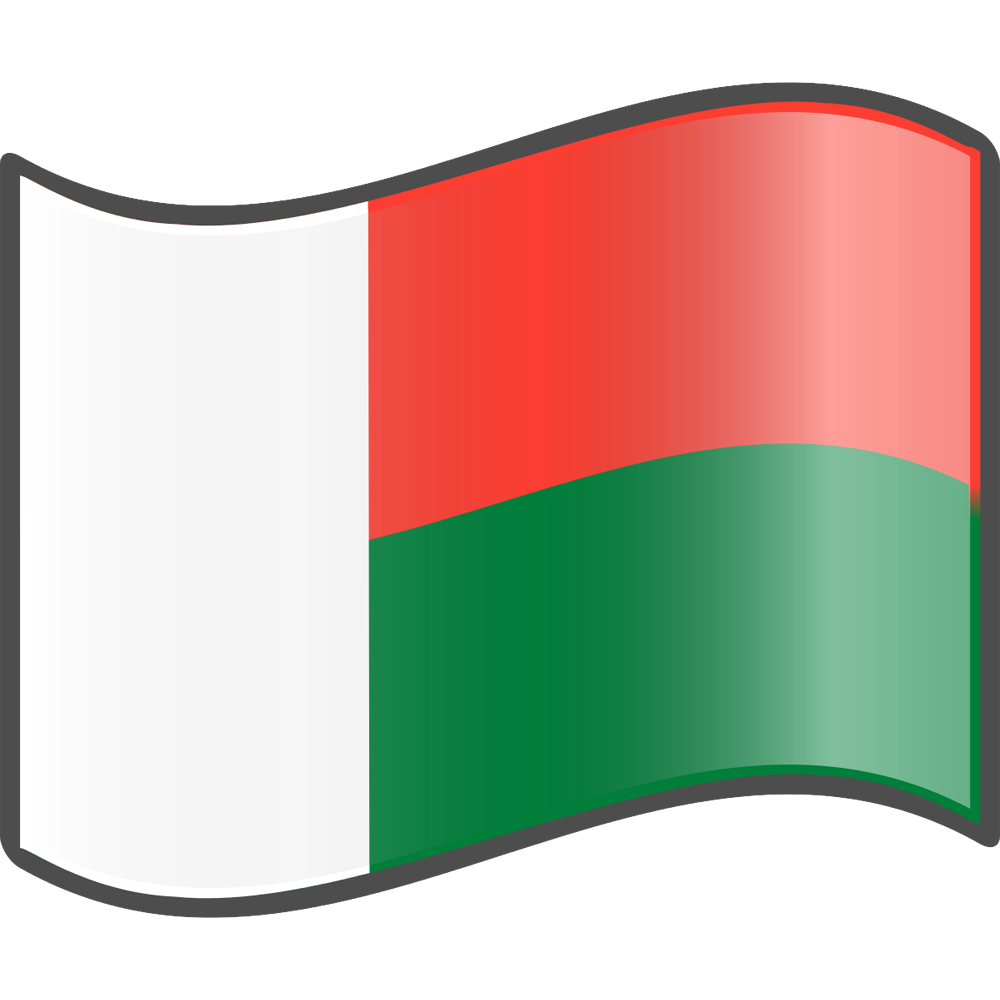Madagascar Flag Transparent Photo