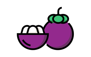Mangosteen Sticker PNG