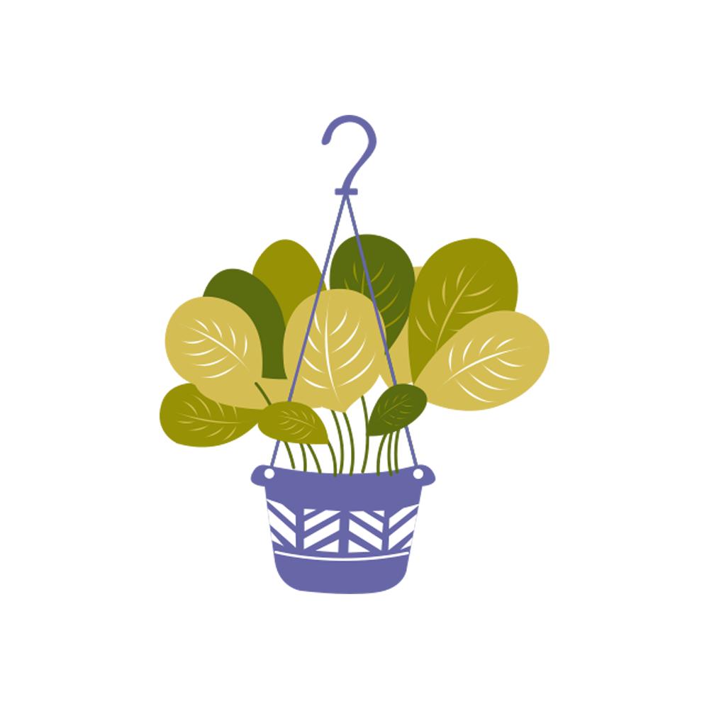 Maranta Free Sticker Transparent Image