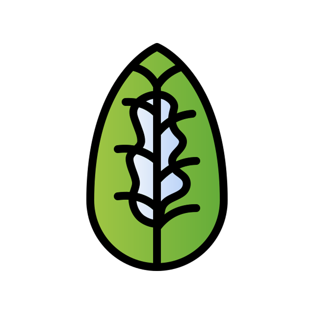 Maranta Free Sticker Transparent Photo