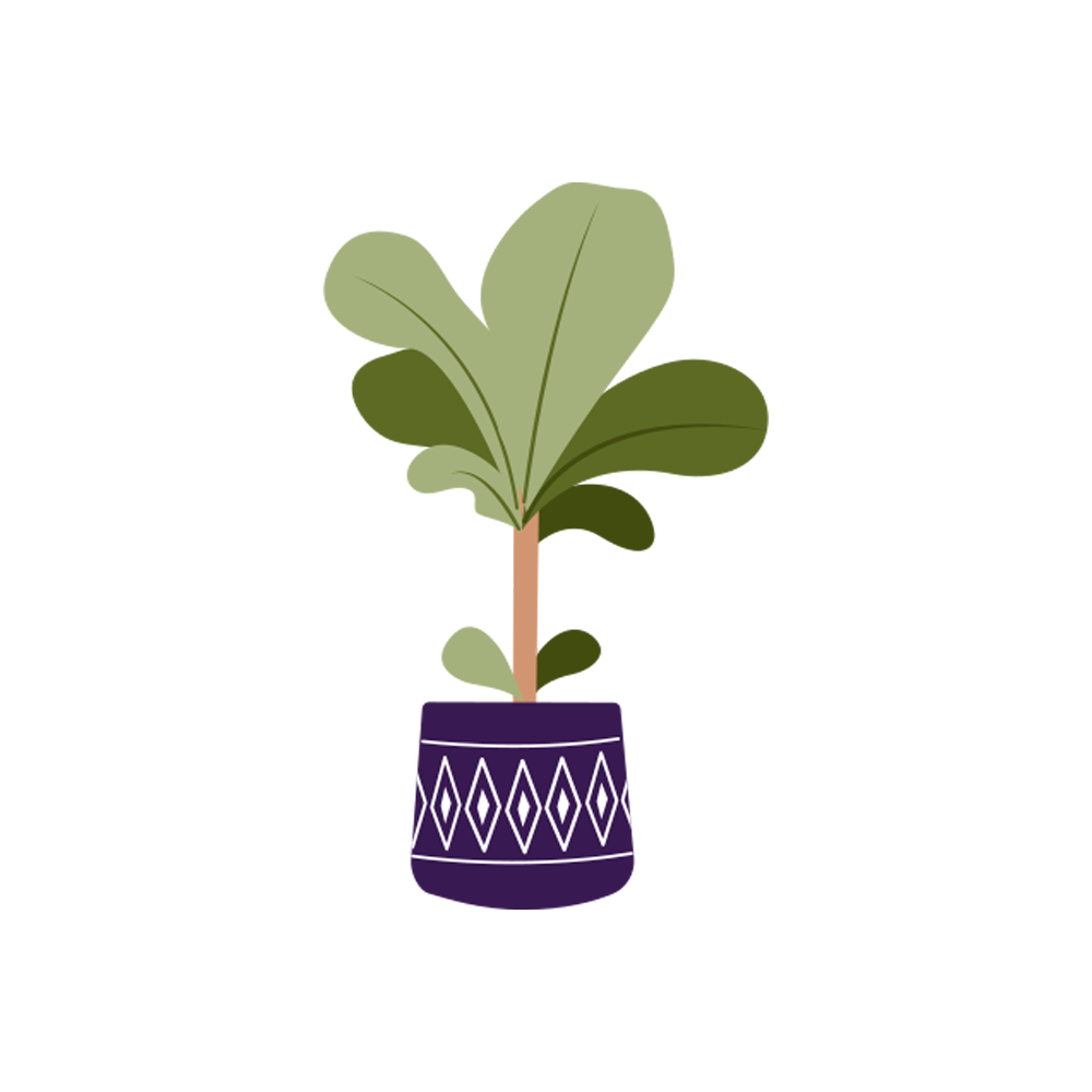 Maranta Free Sticker Transparent Gallery