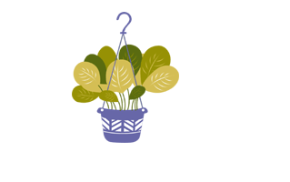 Maranta Free Sticker PNG