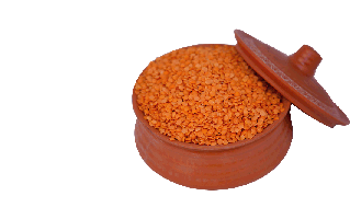 Masoor Dal PNG