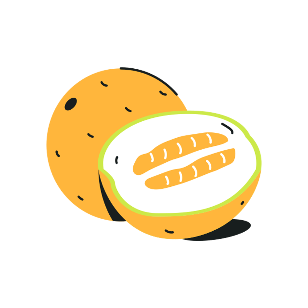 Melon Free Sticker Transparent Image