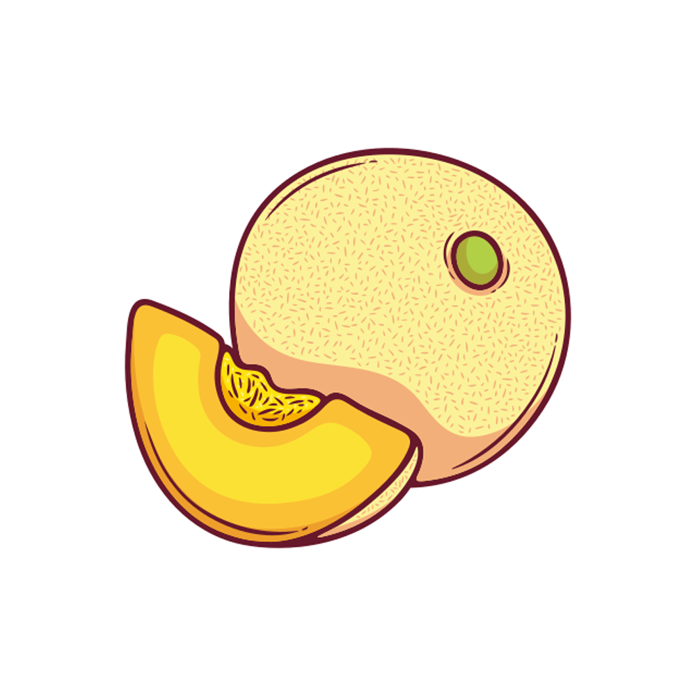 Melon Free Sticker Transparent Picture