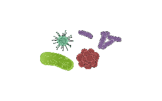 Microorganisms Free Sticker PNG