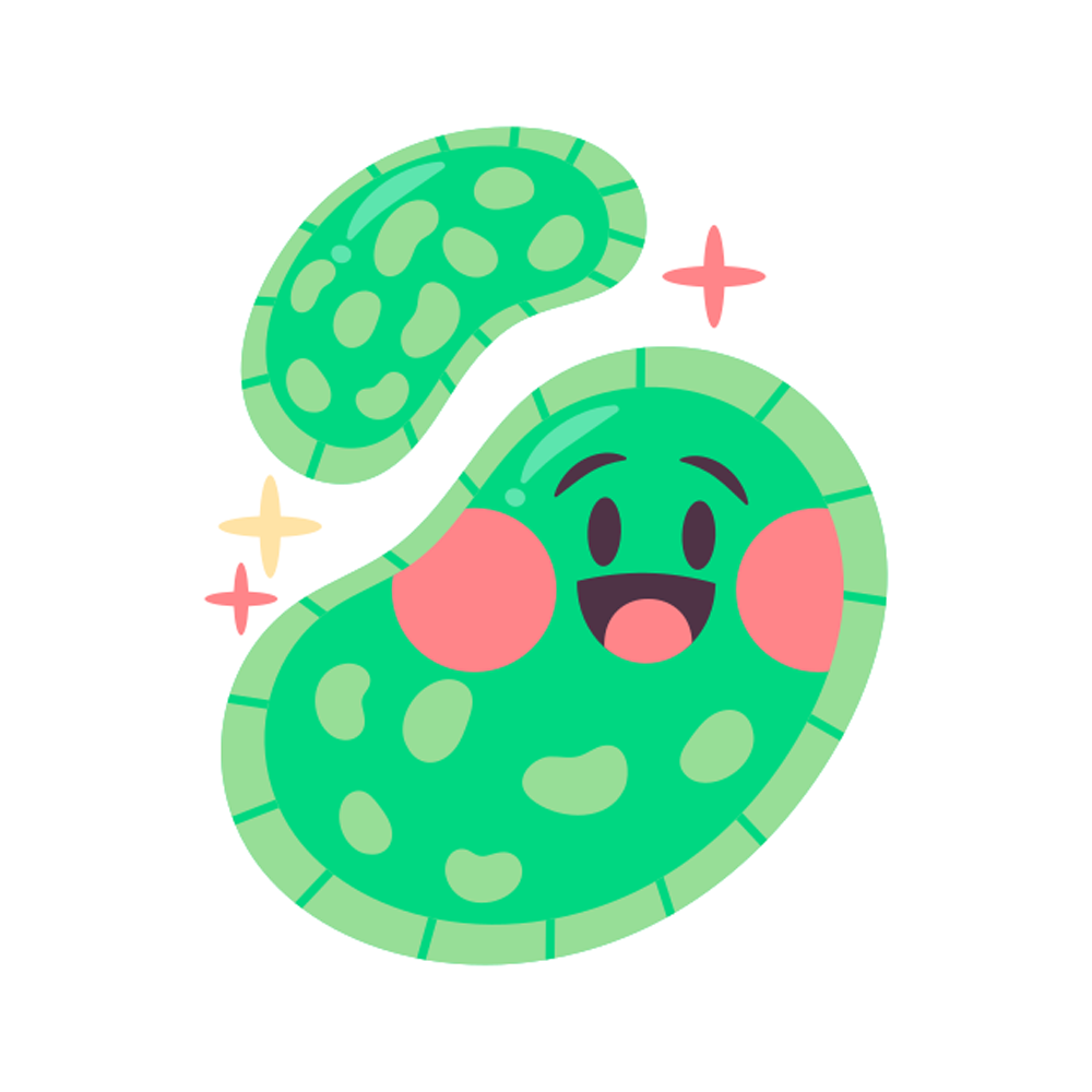 Microorganisms Sticker Transparent Photo