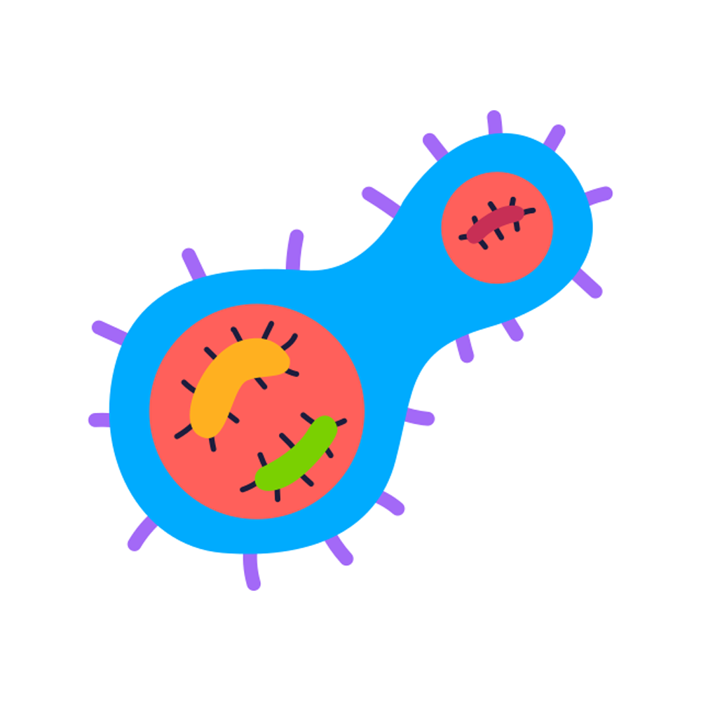 Microorganisms Sticker Transparent Picture
