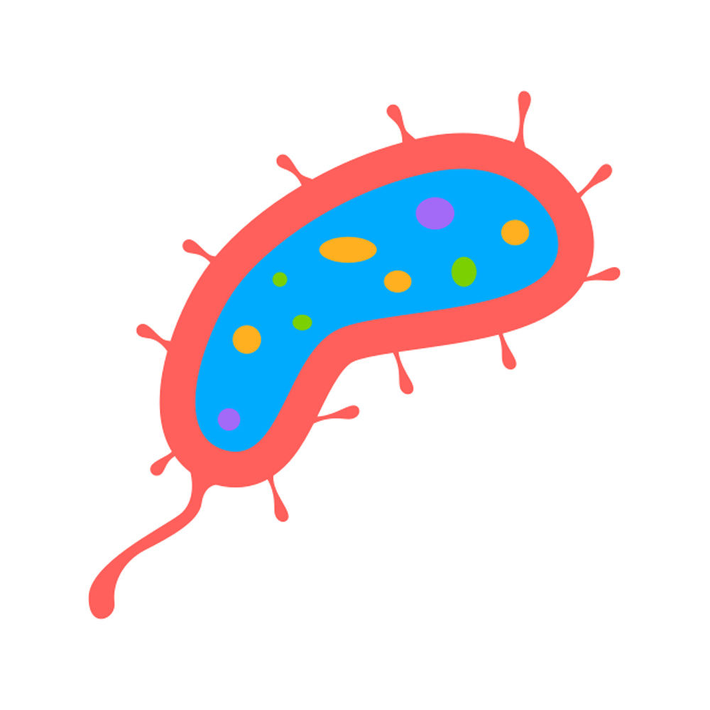 Microorganisms Sticker Transparent Clipart
