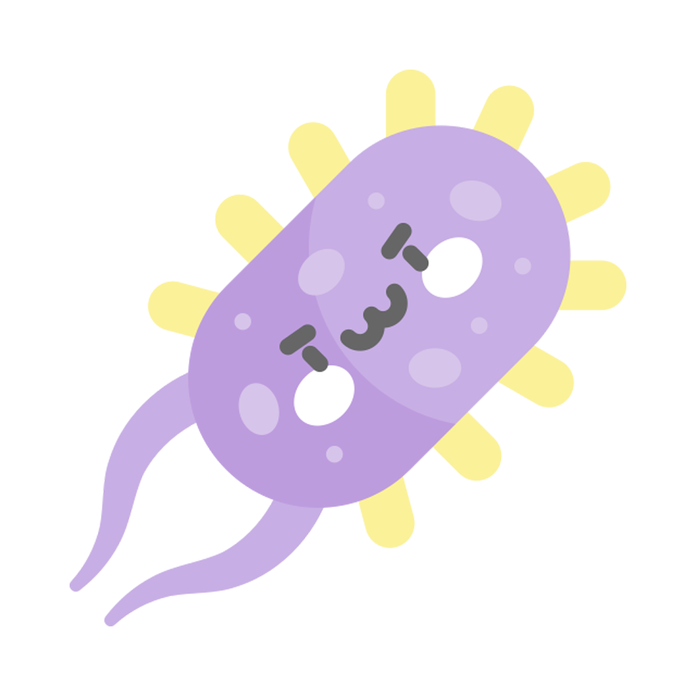 Microorganisms Sticker Transparent Gallery