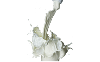 Milk Splash PNG
