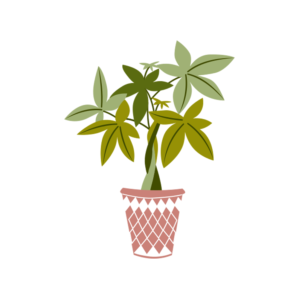 Money Tree Free Sticker Transparent Image