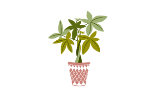 Money Tree Free Sticker PNG