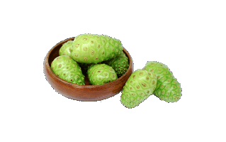 Morinda Citrifolia PNG