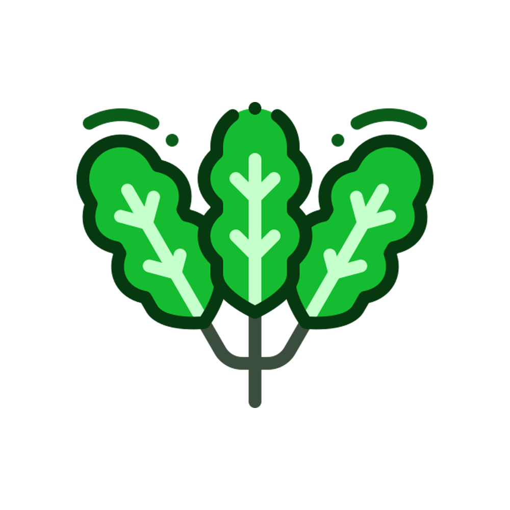 Mustar Greens Free Sticker Transparent Clipart