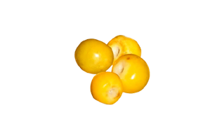 Annona Juice PNG