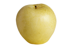 Nashi Pear PNG
