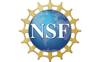 NSF Logo PNG