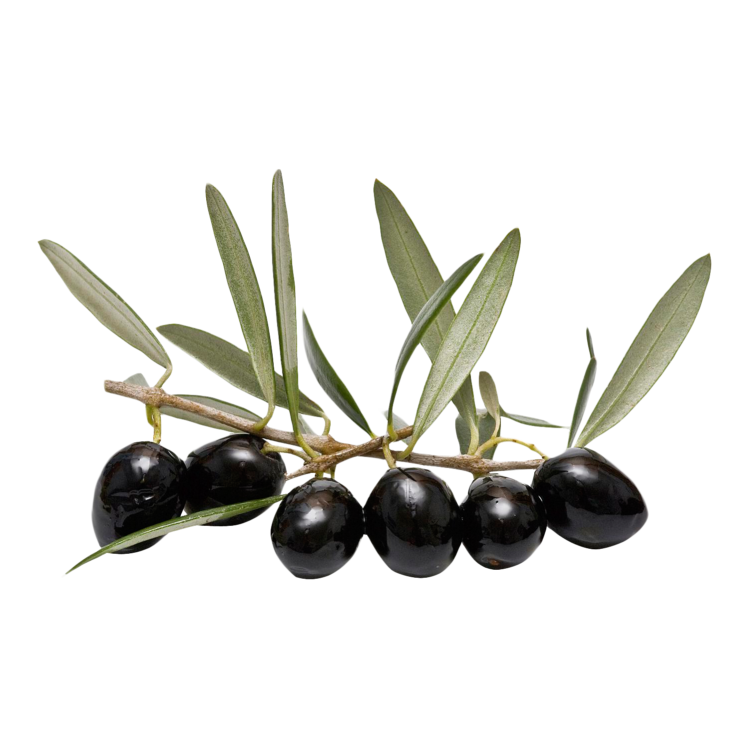 Olives Transparent Clipart