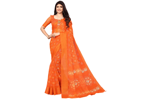 Orange Saree PNG