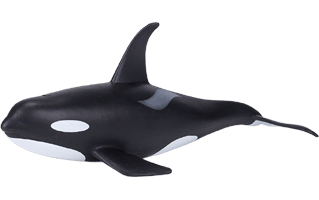 Orca PNG