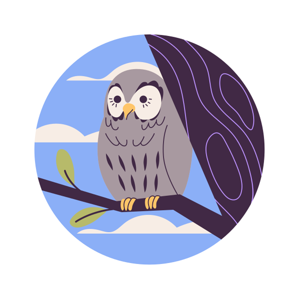 Owl Cartoon Free Sticker Transparent Gallery