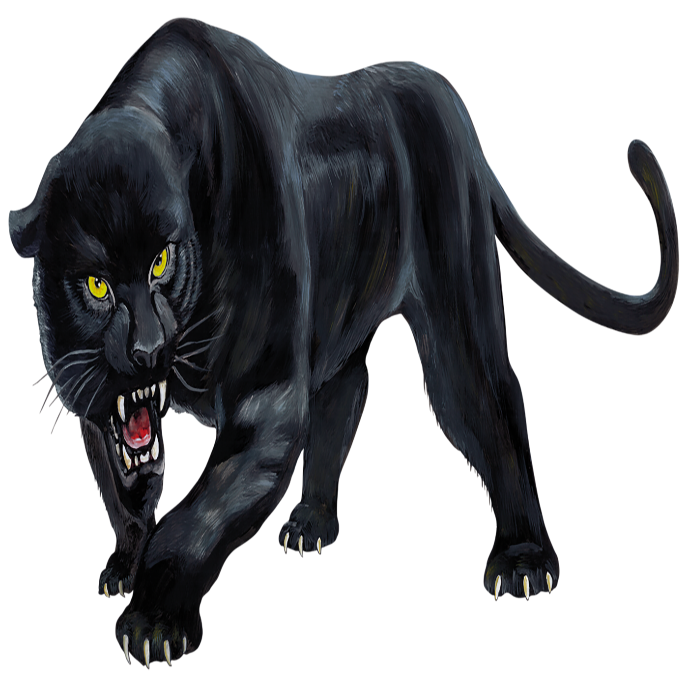 Panther Transparent Image