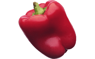 Paprika PNG