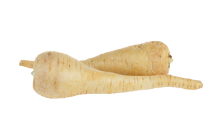 Parsnip PNG