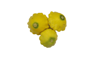 Pattypan Squash PNG
