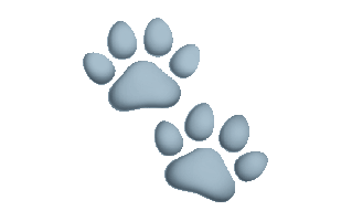 Paw Print Free Sticker PNG