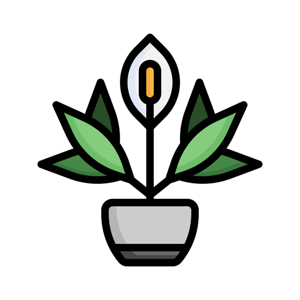 Peace Lily Free Sticker Transparent Picture