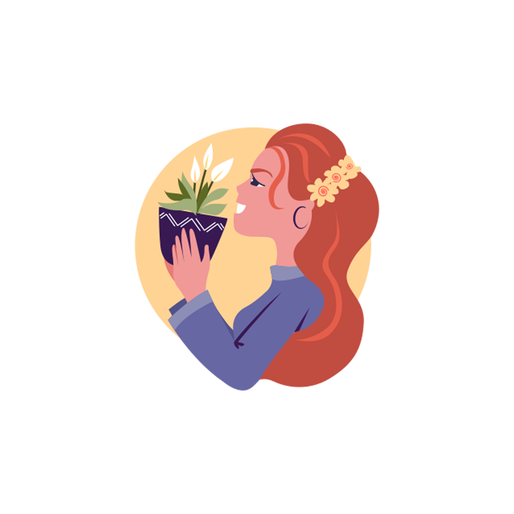 Peace Lily Free Sticker Transparent Gallery