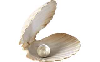 Pearl PNG