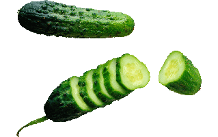 Pepino PNG