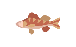 Perch Sticker PNG