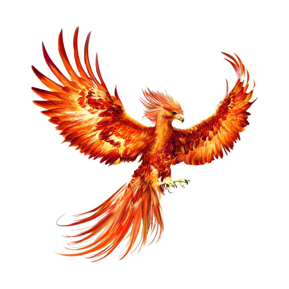 Phoenix Bird Transparent Photo