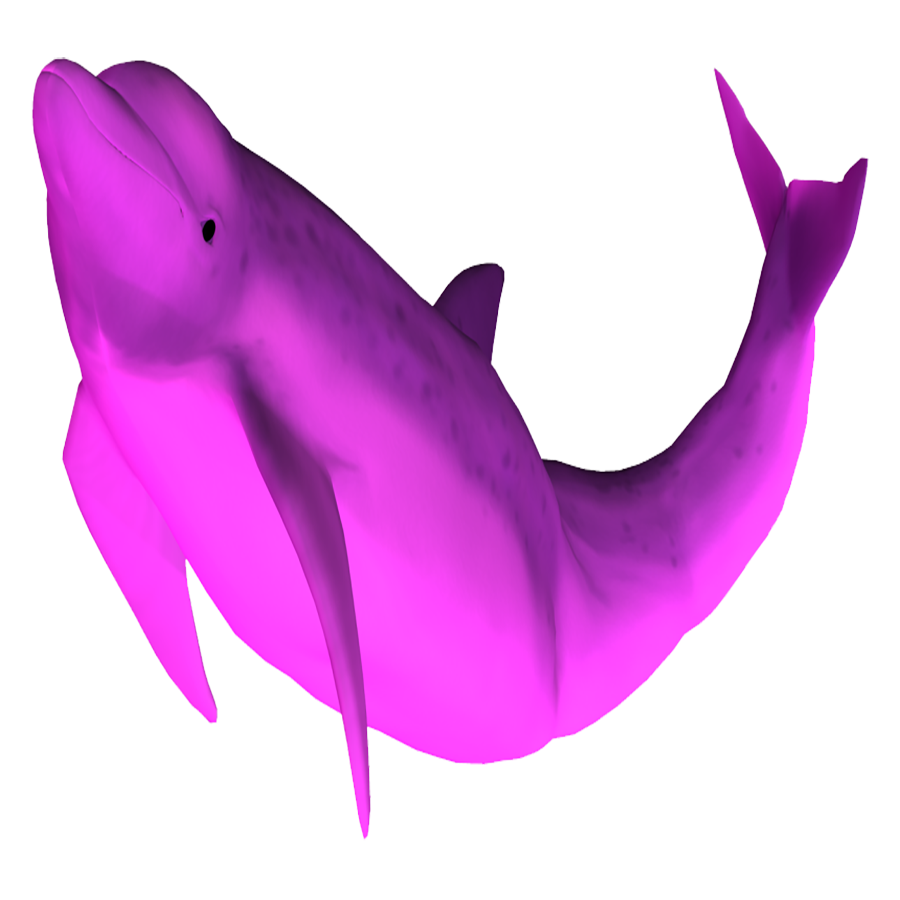 Pink Dolphin Transparent Image