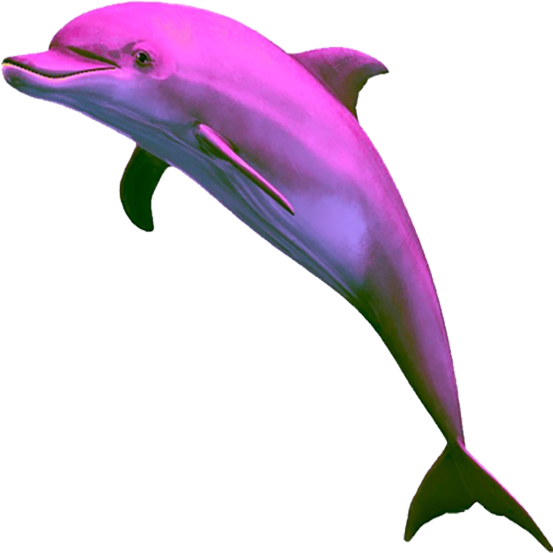 Pink Dolphin Transparent Picture