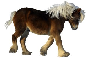 Pony PNG