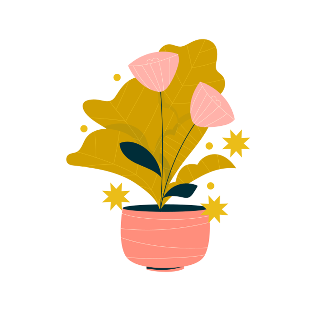 Pot Plant Free Sticker Transparent Photo
