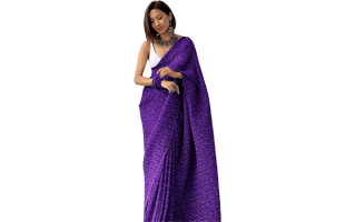Purple Saree PNG