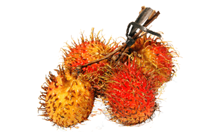 Rambutan PNG