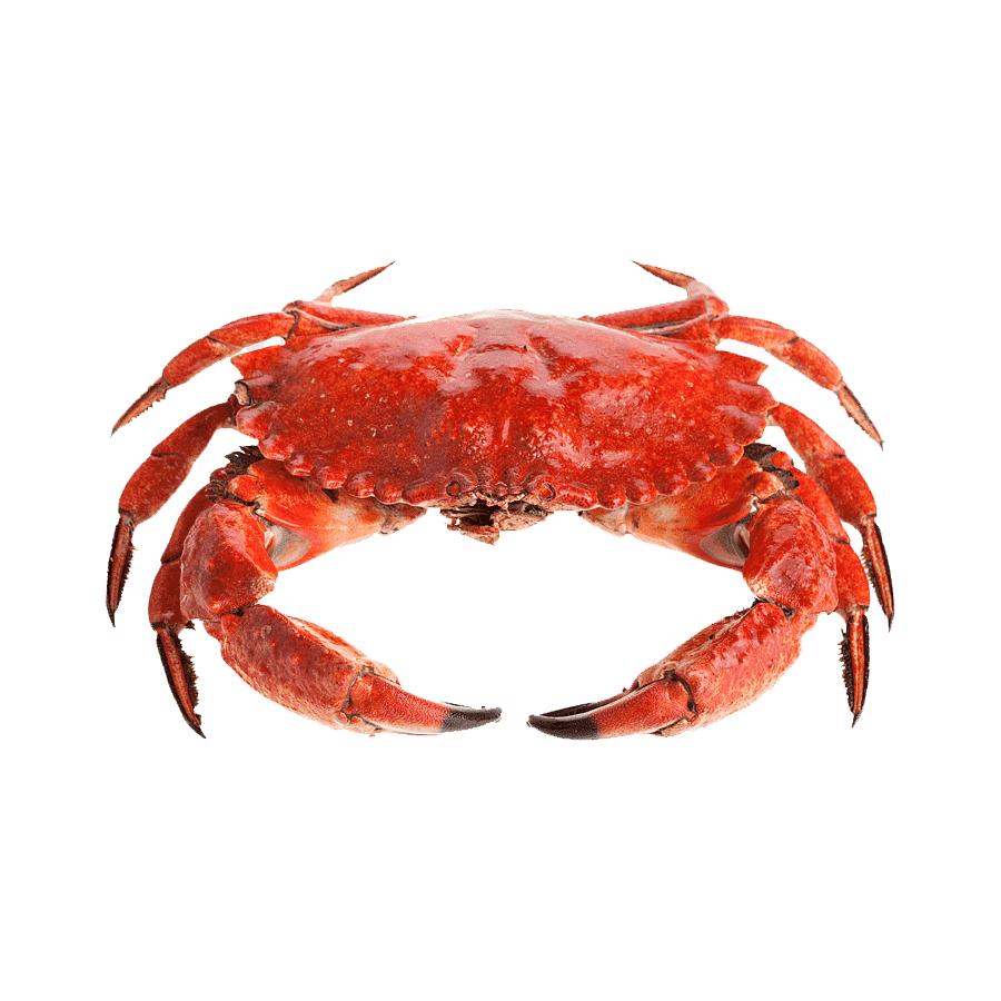 Red Crab Transparent Picture
