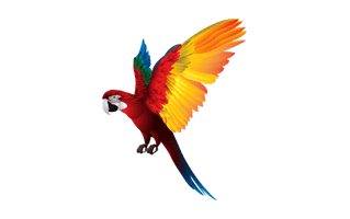 Red Parrot