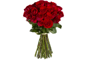 Red Rose Bokeh PNG