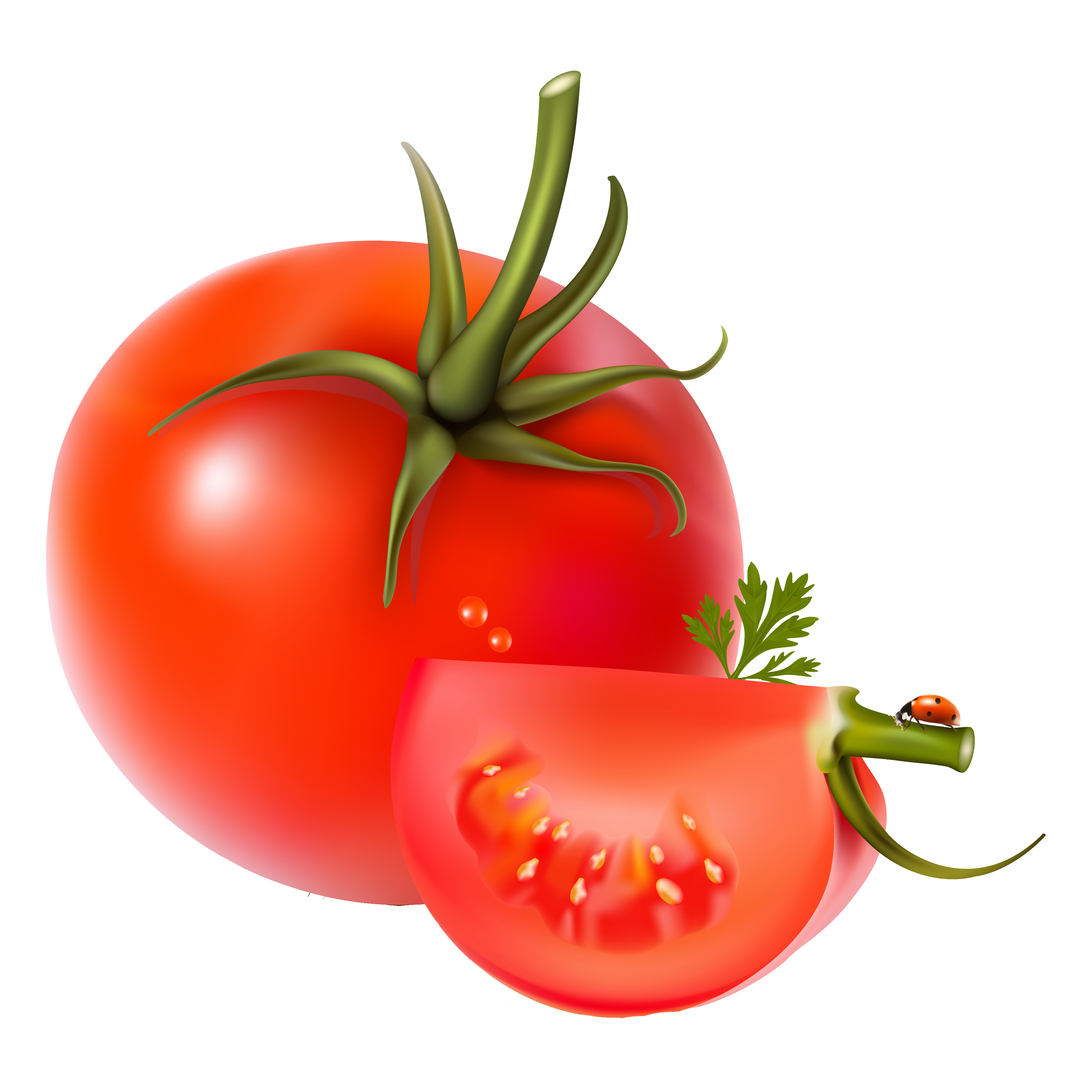 Red Tomato Transparent Image