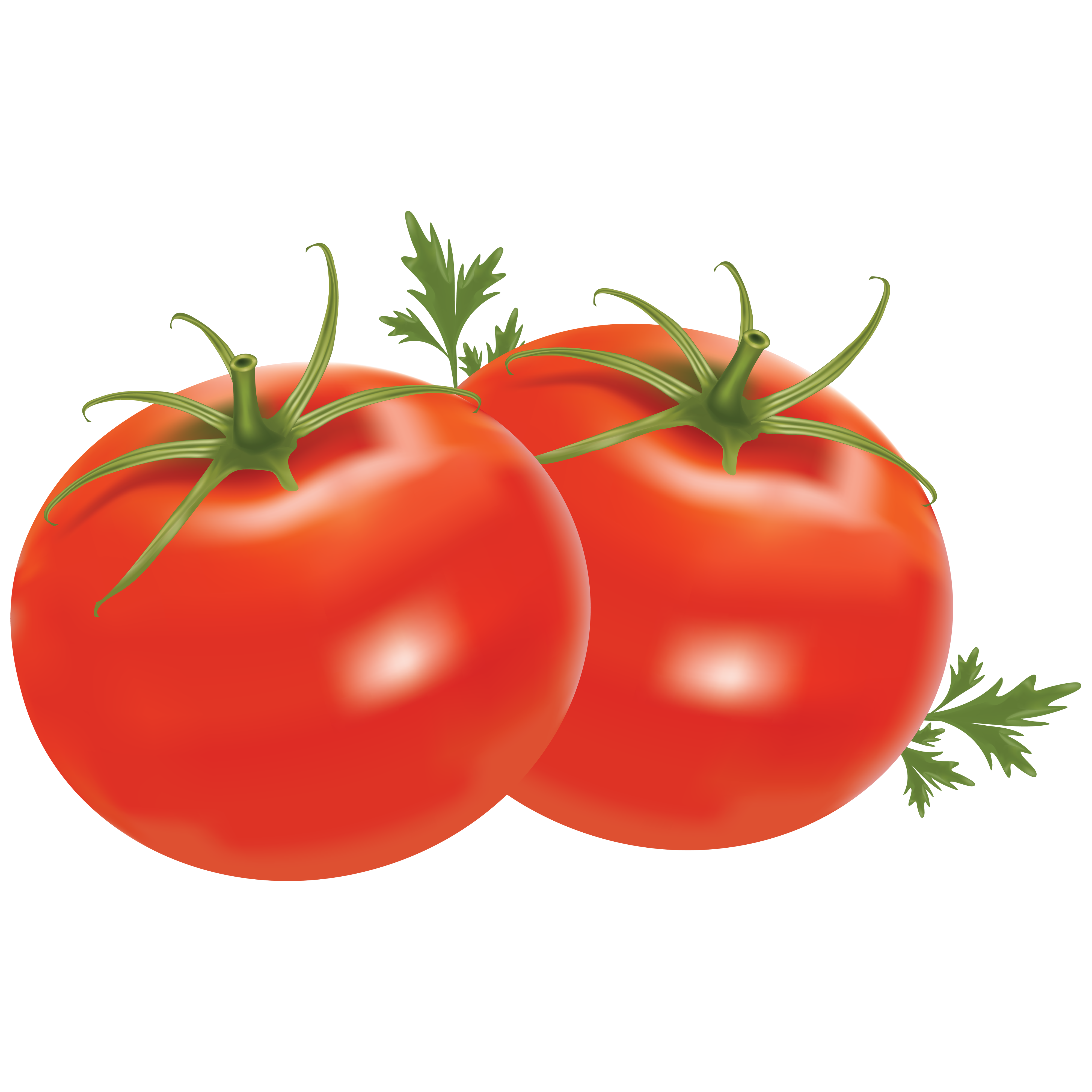 Red Tomato Transparent Clipart