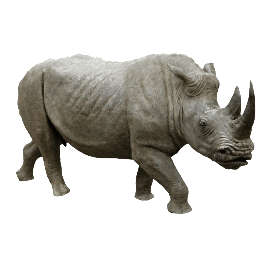 Rhinoceros Transparent Photo