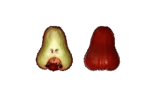 Rose Apple PNG